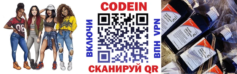 купить наркотики цена  MEGA сайт  Codein Purple Drank  Шенкурск 