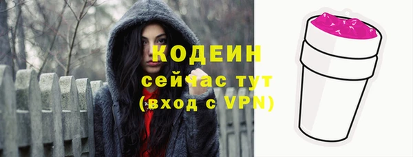 хмурый Абаза