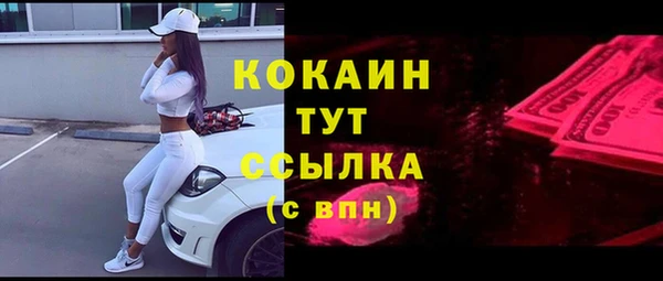 хмурый Абаза