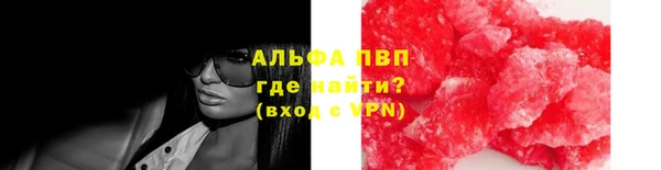 хмурый Абаза