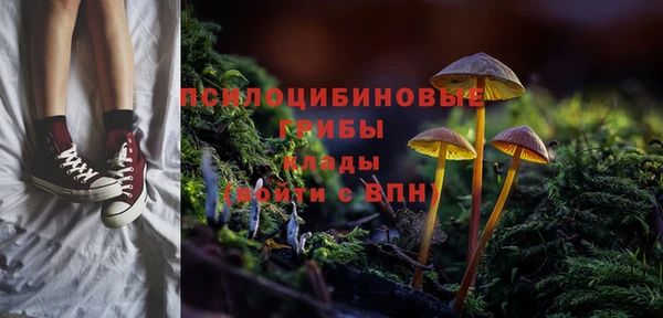 хмурый Абаза