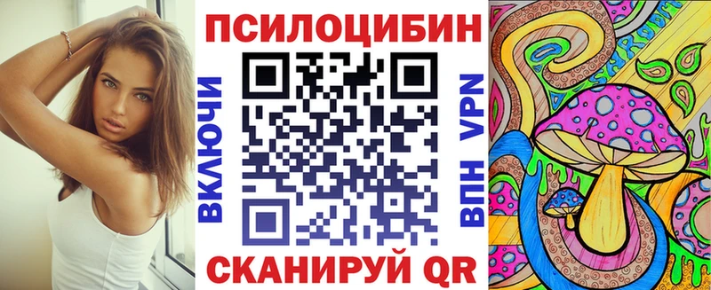 Псилоцибиновые грибы мицелий Шенкурск